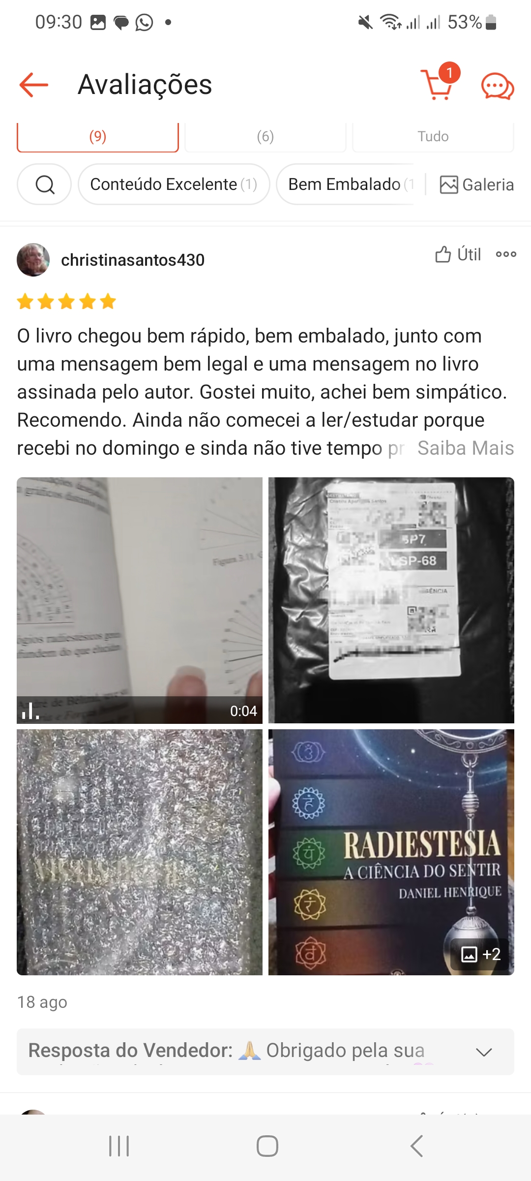 livro radiestesia a ciência do sentir avaliação